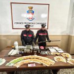 I CARABINIERI SCOPRONO A LECCE NEL GARAGE DI UN’ABITAZIONE PRIVATA VERO E PROPRIO GRAN BAZAR DELLA DROGA