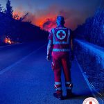 I PIROMANI CRIMINALI SI SONO PORTATI AVANTI COL LAVORO E HANNO COLPITO SUBITO AI PRIMI CALDI DI STAGIONE. BRUCIANO LE COSTE SALENTINE. L’ALLARME LANCIATO DAI VIGILI DEL FUOCO: “Servono interventi immediati”