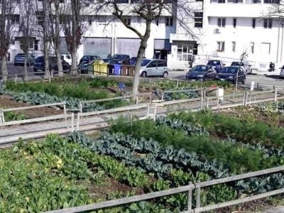 LE AREE VERDI GESTITE DAI CITTADINI, I COSI’ DETTI ‘ORTI SOCIALI’, OFFRONO UNA SERIE DI IMPORTANTI BENEFICI