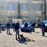 CONTROLLI ANTIDROGA DELLA POLIZIA DI STATO NELLA PROVINCIA DI LECCE