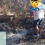 ATTACCO SISTEMATICO E DELIBERATO AL BOSCO D’ARNEO DEI PIROMANI CRIMINALI. LEGAMBIENTE SI CHIEDE CHI CI SIA DIETRO LA LORO MANO, DA QUALI INTERESSI SIANO MOSSI E PERCHE’ LE ISTITUZIONI LI LASCINO AGIRE INDISTURBATI E IMPUNITI