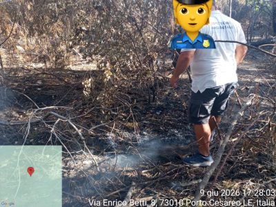 ATTACCO SISTEMATICO E DELIBERATO AL BOSCO D’ARNEO DEI PIROMANI CRIMINALI. LEGAMBIENTE SI CHIEDE CHI CI SIA DIETRO LA LORO MANO, DA QUALI INTERESSI SIANO MOSSI E PERCHE’ LE ISTITUZIONI LI LASCINO AGIRE INDISTURBATI E IMPUNITI