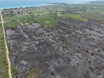SUBITO UN NUOVO INCENDIO SULLE COSTE SALENTINE / THE DAY AFTER