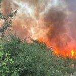 APOCALYPSE NOW. L’ATTACCO DEI CRIMINALI PIROMANI AL SALENTO CONTINUA INDISTURBATO E IMPUNITO. OGGI PRESO DI MIRA IL PARCO NATURALE DI UGENTO E LE SUE MARINE. ALLARME, INDIGNAZIONE, MA NESSUN RISULTATO