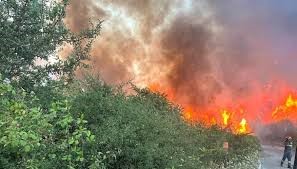 APOCALYPSE NOW. L’ATTACCO DEI CRIMINALI PIROMANI AL SALENTO CONTINUA INDISTURBATO E IMPUNITO. OGGI PRESO DI MIRA IL PARCO NATURALE DI UGENTO E LE SUE MARINE. ALLARME, INDIGNAZIONE, MA NESSUN RISULTATO