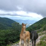 CRONACHE DAL CAMMINO DEI BRIGANTI. Diario di viaggio tra Abruzzo e Lazio, sulle orme della storia – capitolo 4