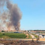 PURE IL “Cessate il fuoco” SUL FRONTE DEGLI INCENDI BOSCHIVI NEL SALENTO E’ FINITO, NON SOLO: NON E’ MAI ENTRATO IN VIGORE. L’EMERGENZA CONTINUA. OGGI FUMO E FIAMME SULLA LECCE – GALLIPOLI