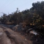 L’INCENDIO DEL GIORNO A MINERVINO