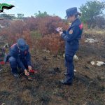 ATTIVITA’ DEI CARABINIERI CONTRO GLI INCENDI BOSCHIVI: RIASSUNTO