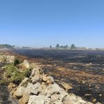 SI’, E’ IN ATTO UN VERO E PROPRIO “ecocidio”. ADESSO I CITTADINI SALENTINI SCENDONO IN PIAZZA CONTRO LA PIAGA DEGLI INCENDI. INDETTA UNA MANIFESTAZIONE A LECCE VENERDI’ 31: “la terra abbandonata fa gola alla speculazione”