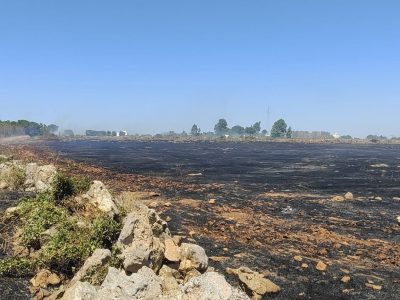SI’, E’ IN ATTO UN VERO E PROPRIO “ecocidio”. ADESSO I CITTADINI SALENTINI SCENDONO IN PIAZZA CONTRO LA PIAGA DEGLI INCENDI. INDETTA UNA MANIFESTAZIONE A LECCE VENERDI’ 31: “la terra abbandonata fa gola alla speculazione”