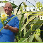 INNOVAZIONE, RICERCA E FUTURO DELL’AGRICOLTURA: MERCOLEDI’ 5 AGOSTO A COPERTINO, CONTRADA VIGNA GRANDE, “Porte Aperte” ALLA CAIRO & DOUTCHER PER UNA GIORNATA DEDICATA ALL’INNOVAZIONE AGRICOLA