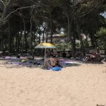 CONTROLLI DEL TERRITORIO SULLE AREE DEMANIALI MARITTIME SALENTINE