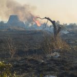 INCENDI NEL SALENTO, L’EMERGENZA CONTINUA. A CEGLIE MESSAPICA I CARABINIERI ARRESTANO IL PIROMANE