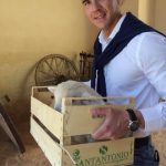 COMUNICATO STAMPA E APPELLO DEGLI ANIMALISTI ITALIANI. E’ DI NUOVO POLEMICA SULLA FIERA DEL BESTIAME DI FRIGOLE, ‘UNA BRUTTA GATTA DA PELARE’ PER L’ASSESSORE ANDREA GUIDO