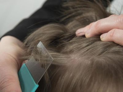 IL MIO LESSICO FAMIGLIARE / SOTTO ATTACCO DEI PIDOCCHI