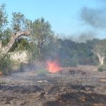 IL SALENTO CONTINUA A BRUCIARE, ALTRI DUE FRONTI DI FUOCO A RUFFANO E A GEMINI / AGGIORNAMENTO