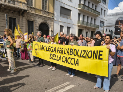 NUOVO APPELLO DELLA LAC: “Liberiamoci dalla caccia che uccide la bellezza”