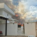 ANCORA INCENDI NEL SALENTO