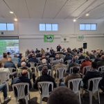 OLIVICOLTURA IN CRISI, LUNEDI’ 12 GIORNATA DI PROTESTA A BARI. LE RICHIESTE DEGLI OPERATORI